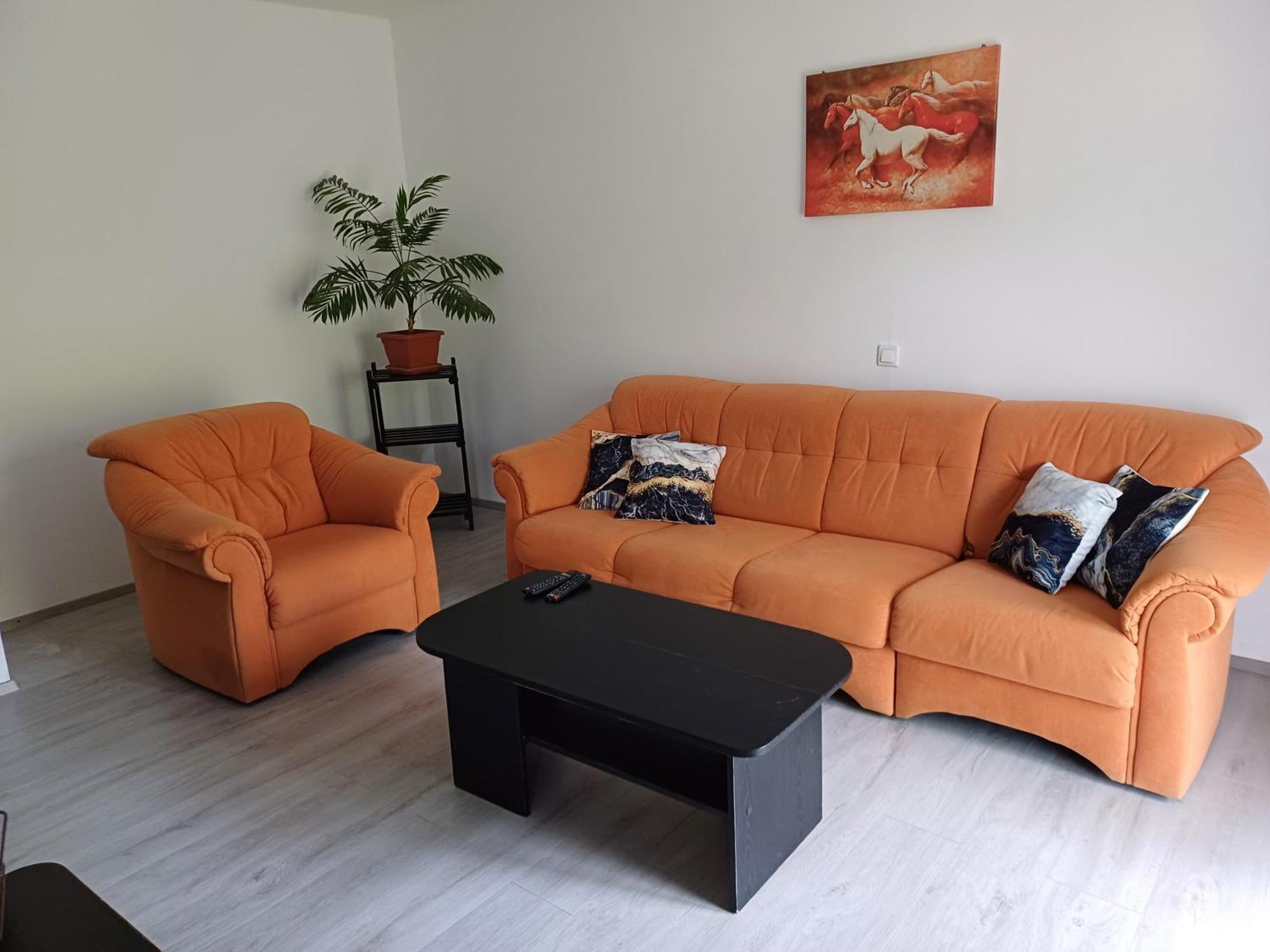 Apartma Ginga Osilnica Buitenkant foto
