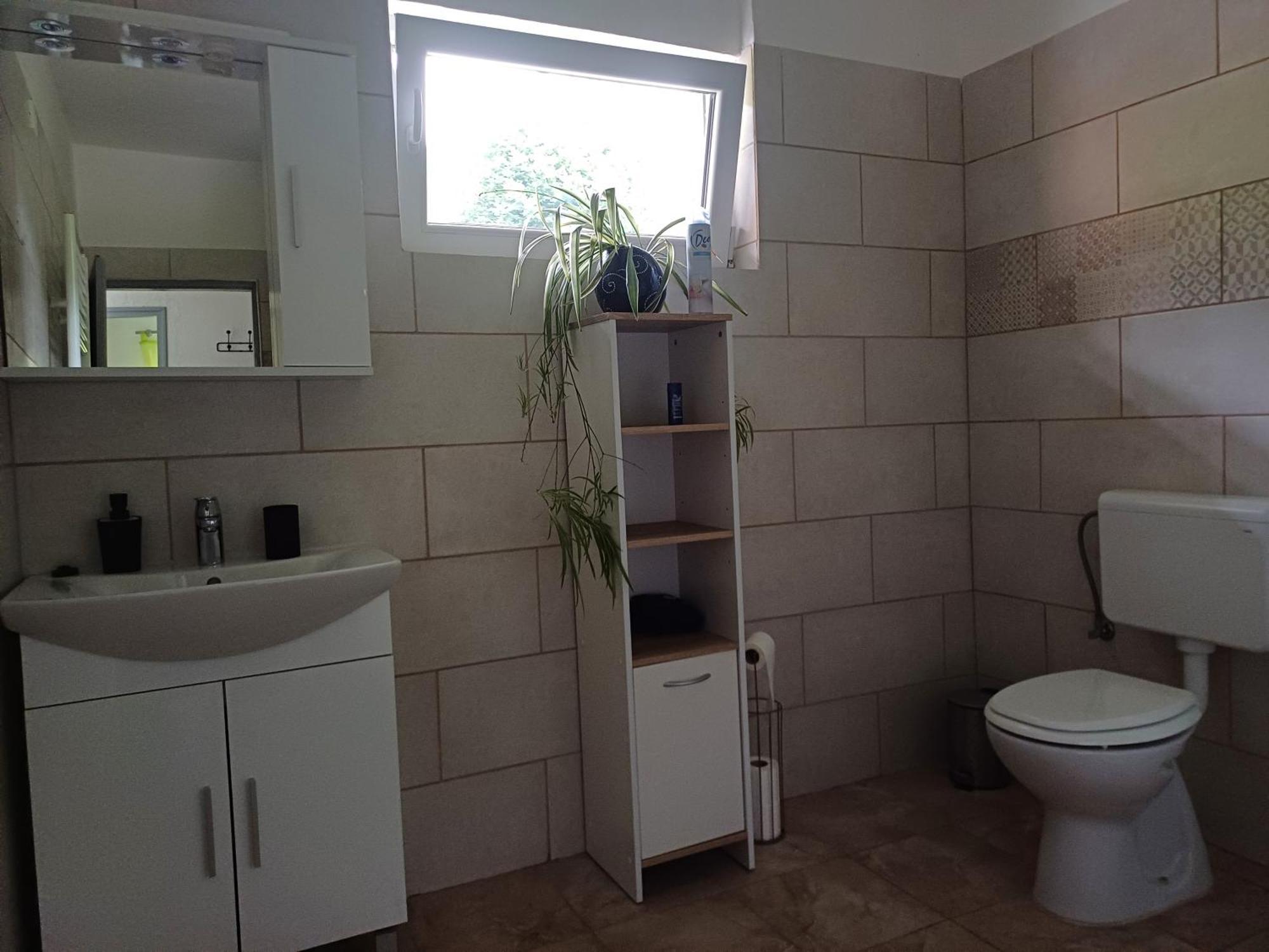 Apartma Ginga Osilnica Buitenkant foto