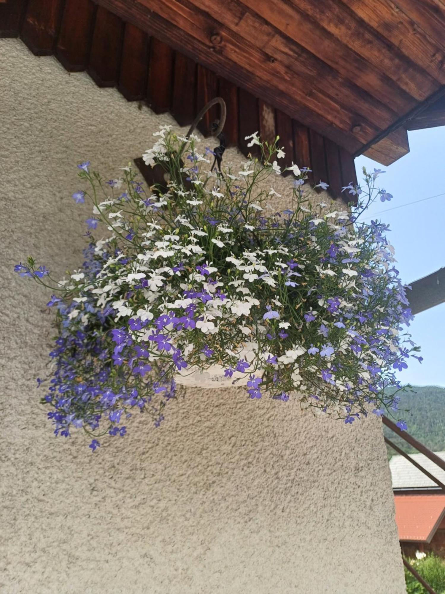 Apartma Ginga Osilnica Buitenkant foto