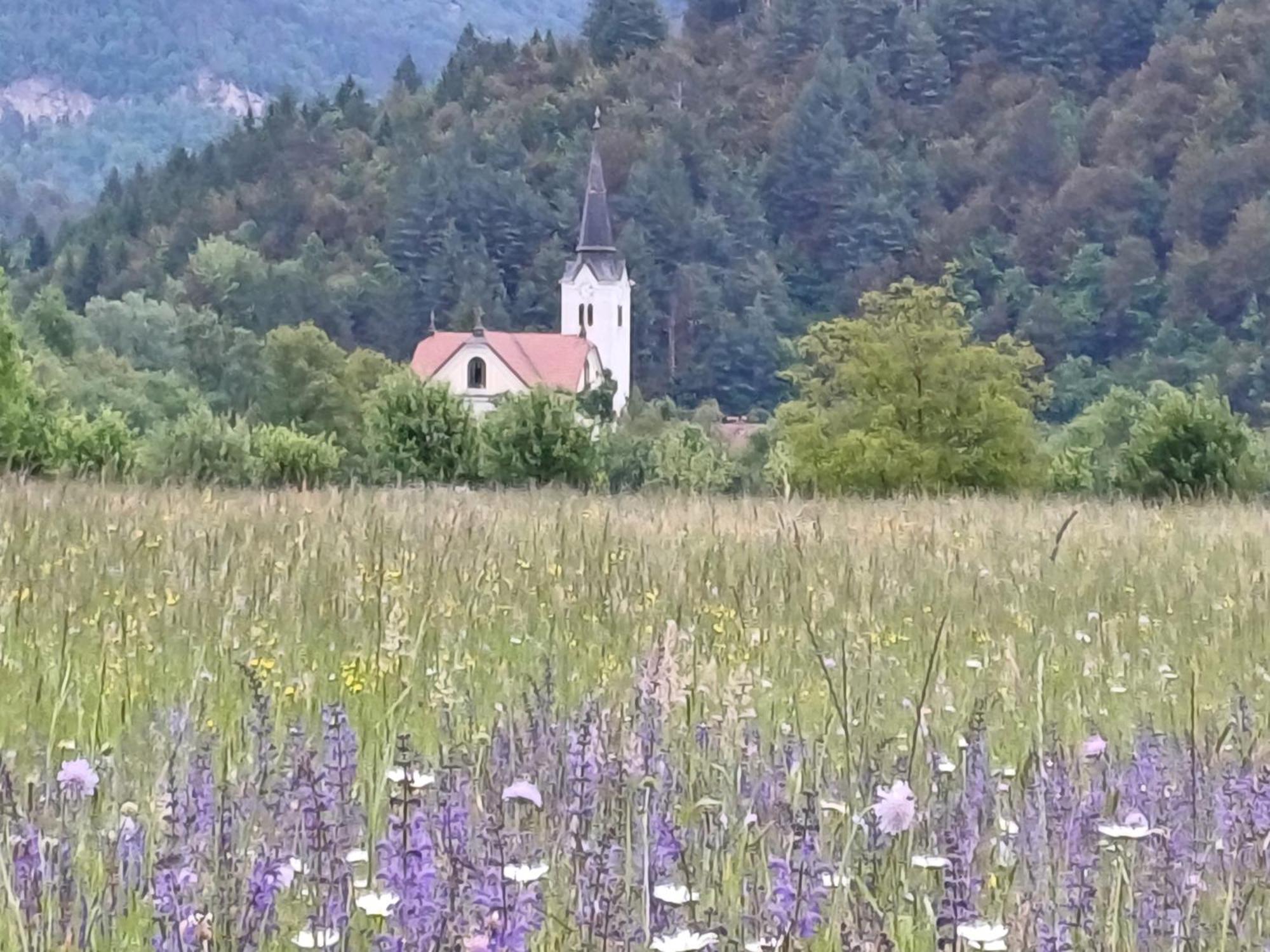 Apartma Ginga Osilnica Buitenkant foto
